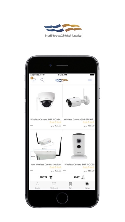 الرؤية التصويرية