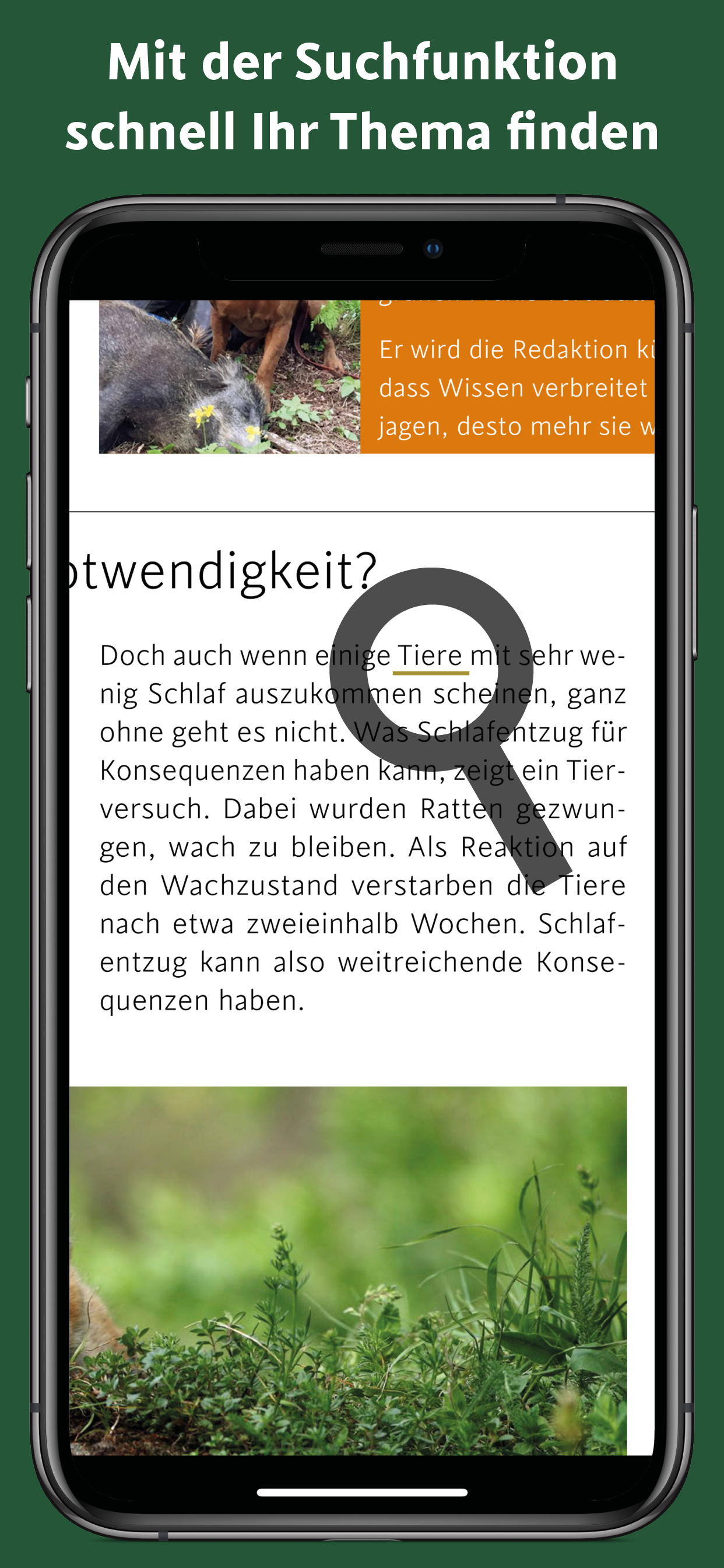 Schweizer Jäger