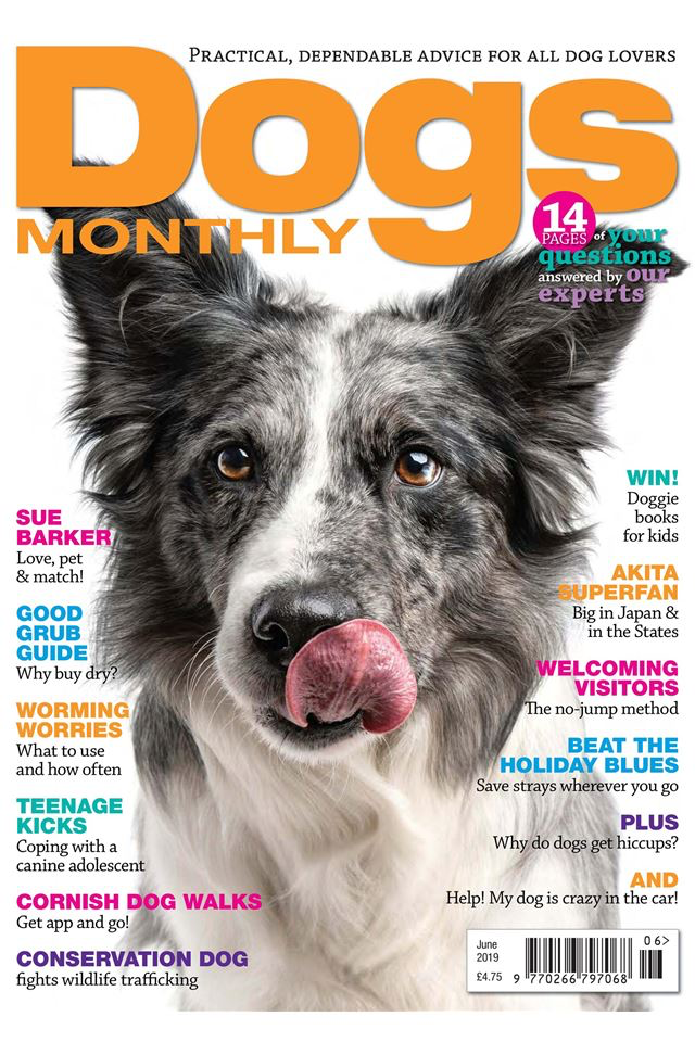 Dogs Monthly Magazine