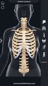AR Skeleton Anatomy screenshot