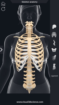 AR Skeleton Anatomy screenshot 6