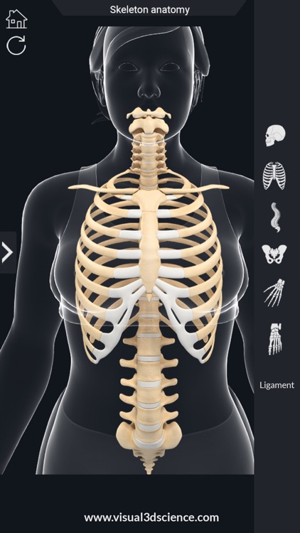 AR Skeleton Anatomy screenshot-5
