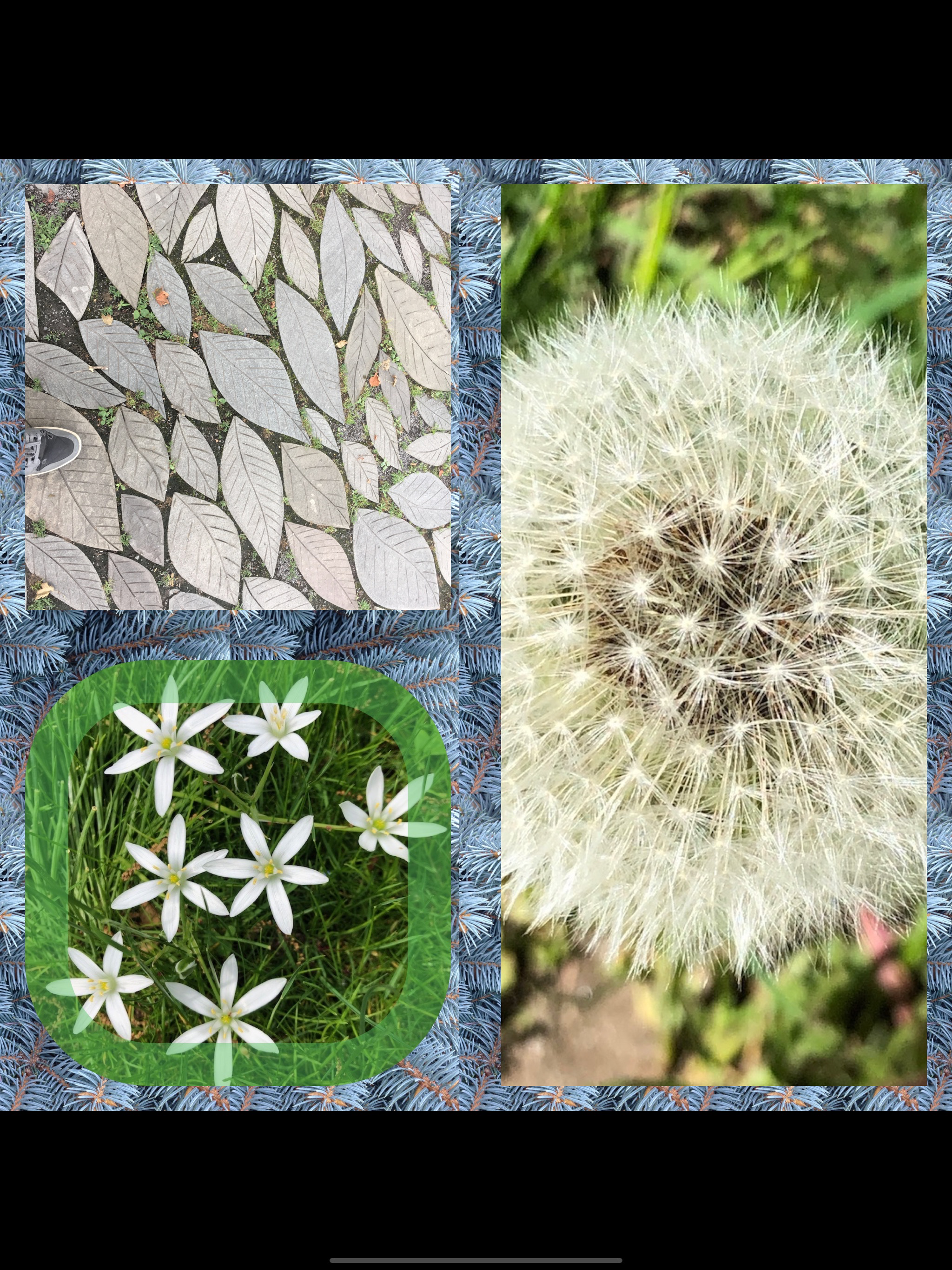 Mosaic Photo & Video Collage screenshot 22