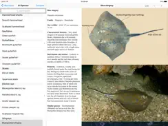 EGuide to Sharks and Rays iPad image 4