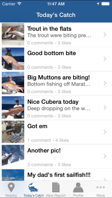 Fish iReports Screenshot
