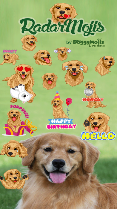 Screenshot #1 pour RadarMojis - Golden Retriever