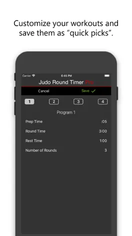 Game screenshot Judo Round Timer Pro apk