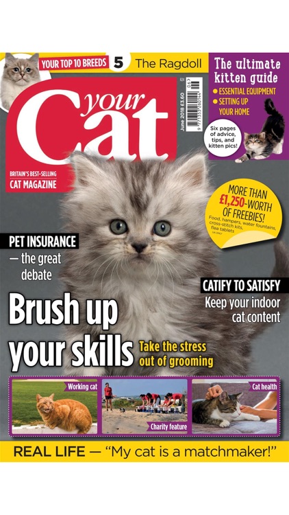 Your Cat screenshot-9