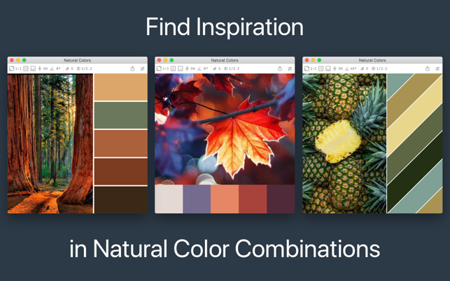 ‎Color Palette from Image Screenshot