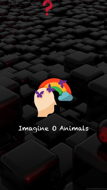 Imagine O Animals