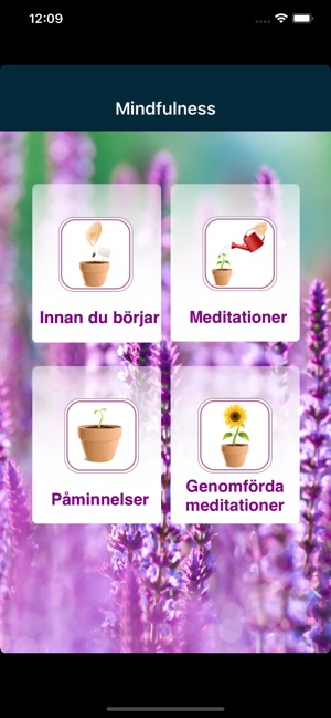 Mindfulnessgruppen