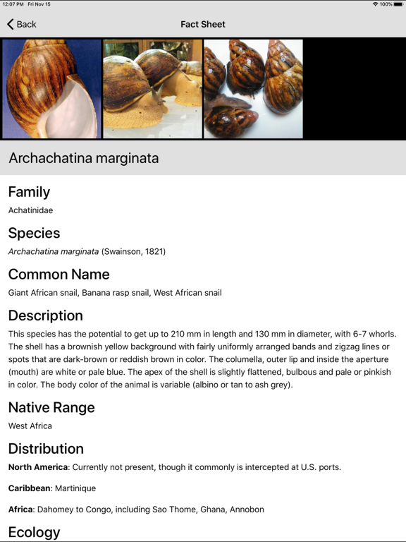 Screenshot #6 pour Terrestrial Mollusc Key