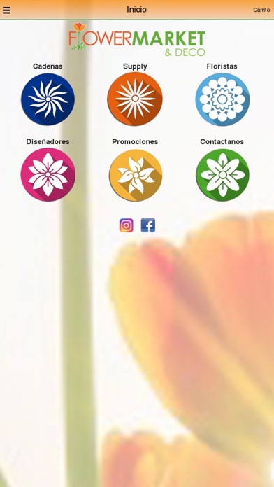 Screenshot #1 pour M&M FLOWER MARKET
