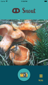 Snout: Mushroom Identification screenshot
