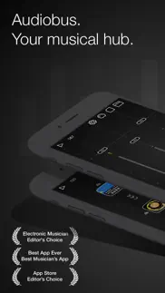 audiobus: mixer for music apps iphone screenshot 1