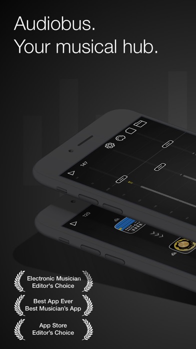 Audiobus: Mixer for music apps Screenshot