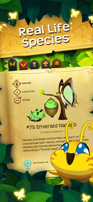 Flutter: Butterfly Sanctuary(圖5)-速報App