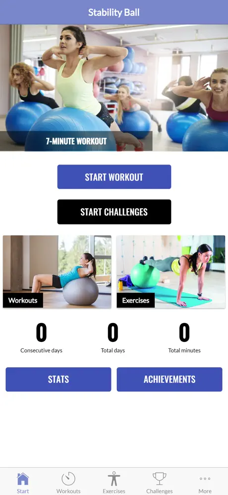 Stability Ball Workout