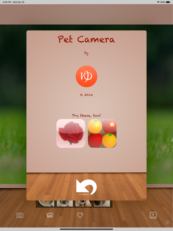Pet Camera: Great Pet Photos iPad screenshot 5 - Photo & Video app