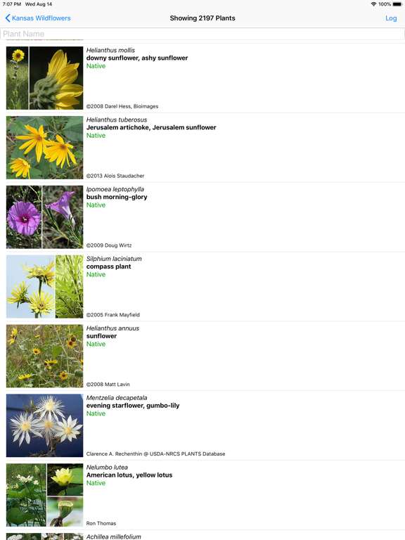 Screenshot #5 pour Kansas Wildflowers