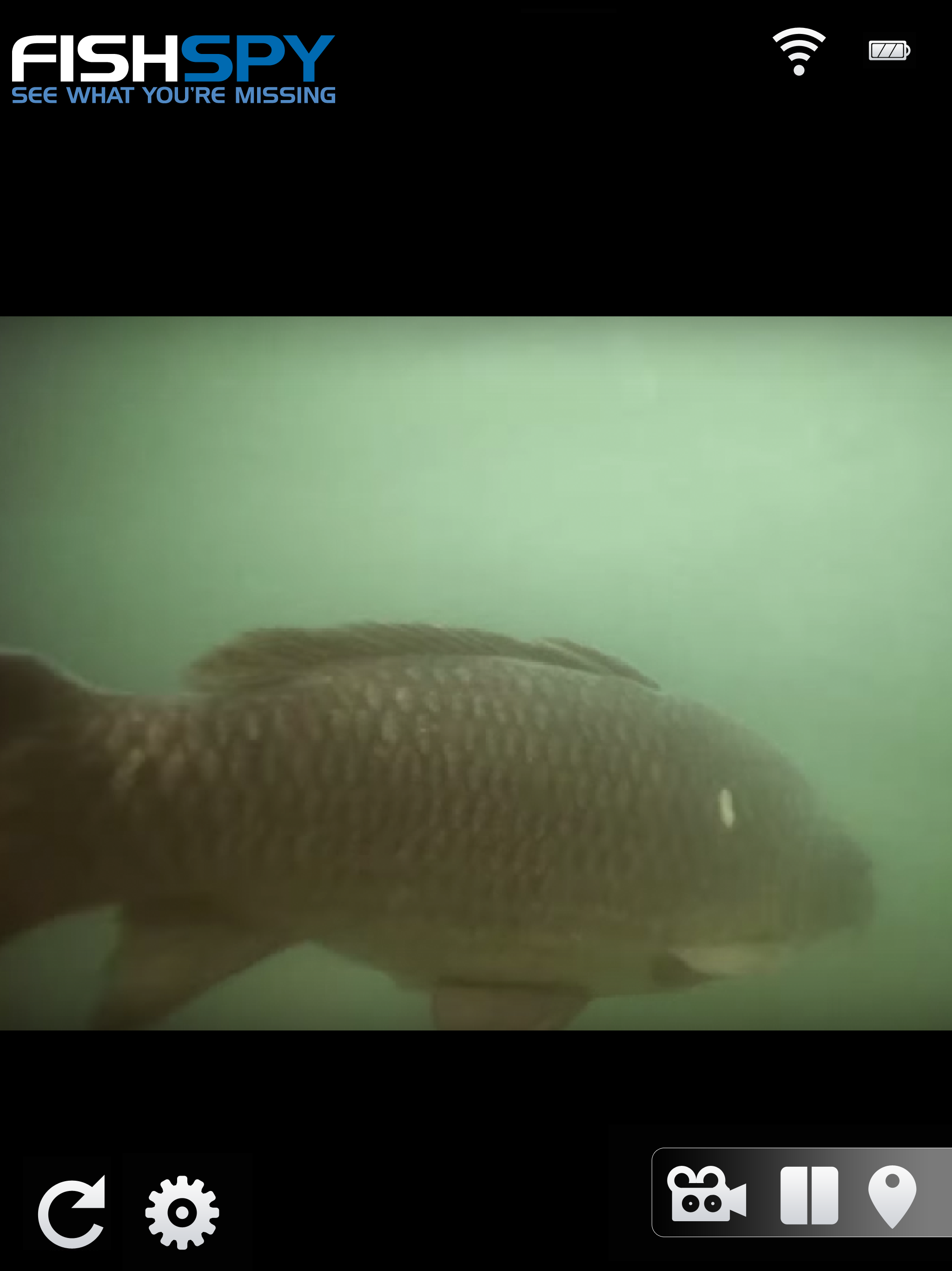 FishSpy screenshot 5