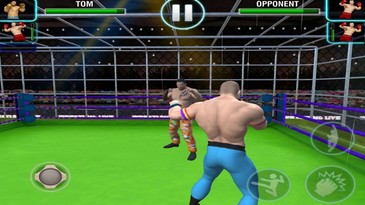 Kick Fighting: Wrestling Win