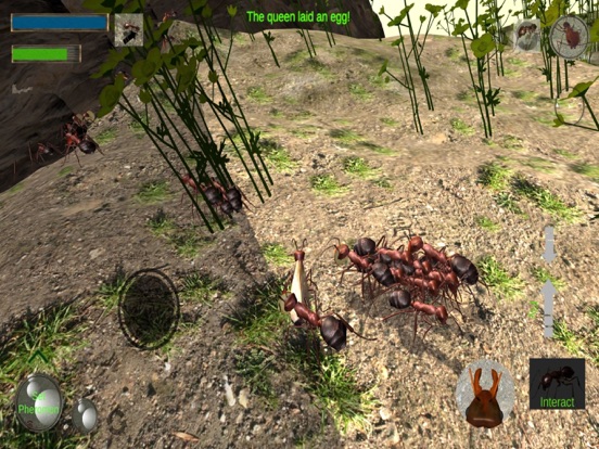 Screenshot #6 pour Ant Simulation 3D Full
