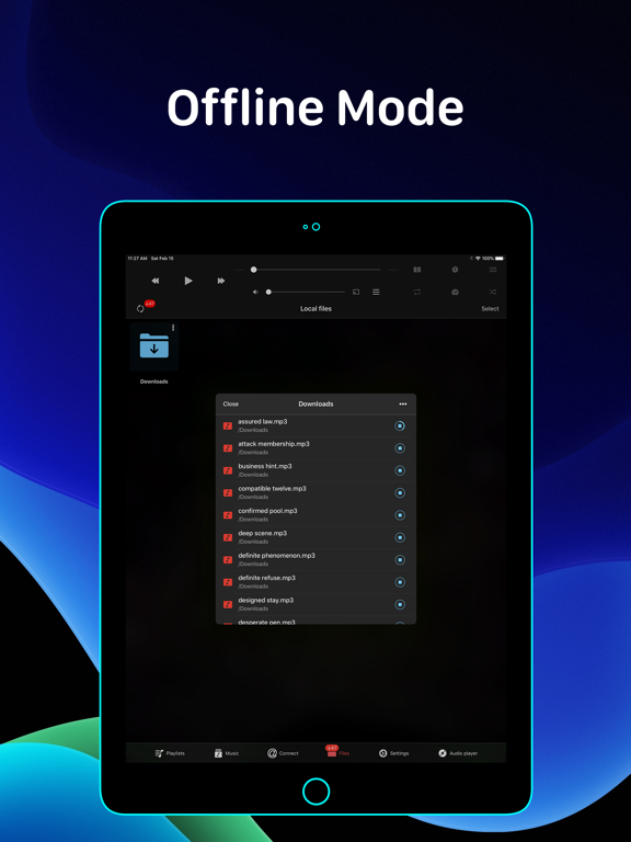 Evermusic - Offline Music Player & Cloud Streamer screenshot