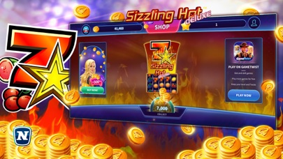 Sizzling Hot™ Deluxe Slot Screenshot