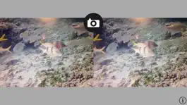 Game screenshot 3-D Movie Camera mod apk