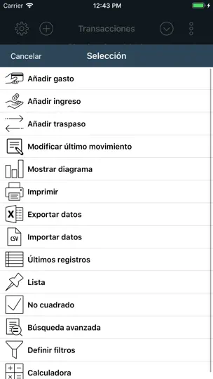 Captura de pantalla de My Budget Book en iPhone 4