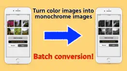 How to cancel & delete convert images to monochrome 1