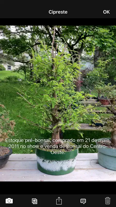 Álbum Bonsai screenshot 3 of 5