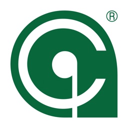 Immobiliare Camperi SAS