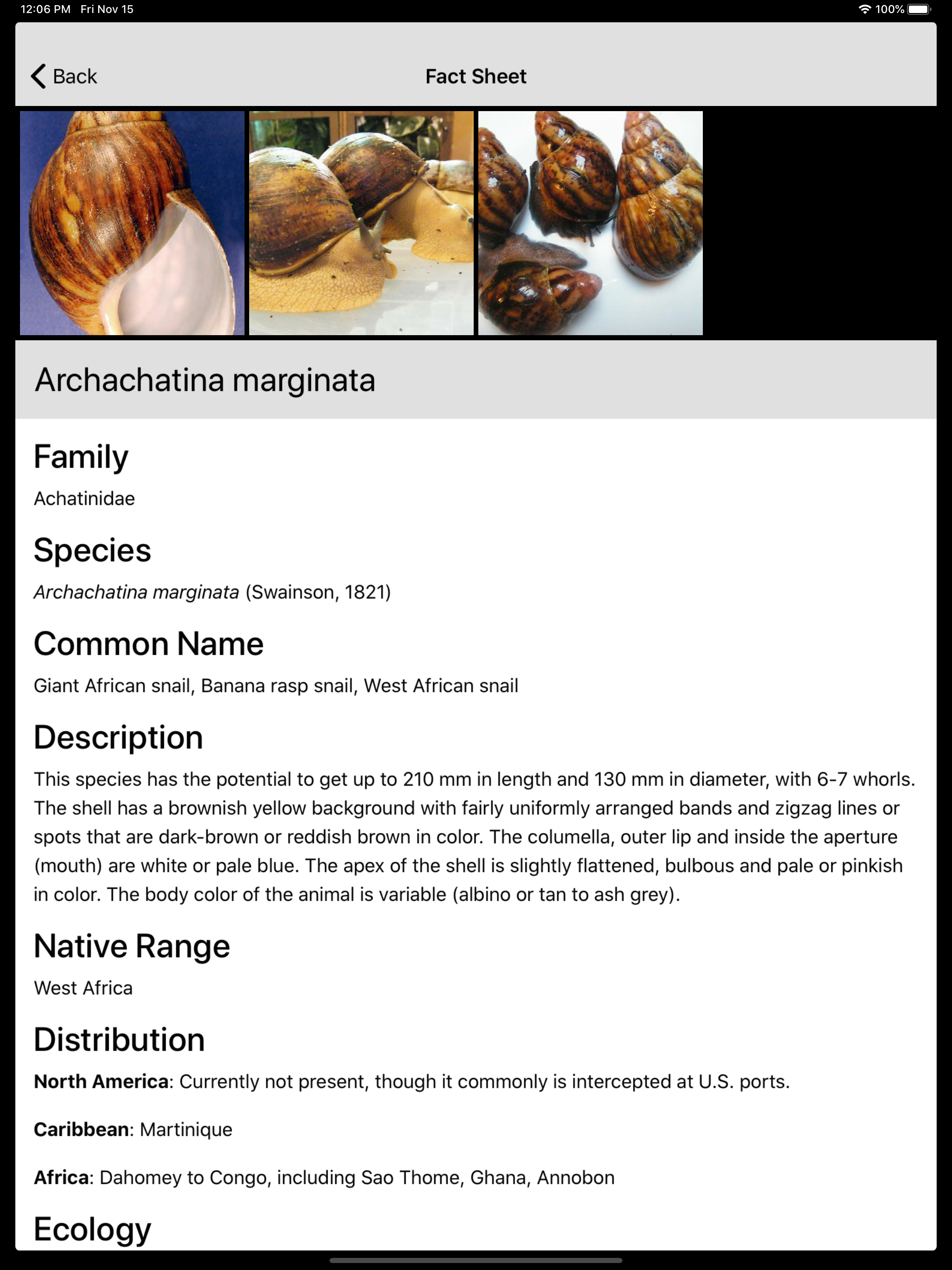 Terrestrial Mollusc Key