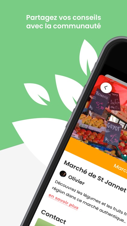 La Mano Verde — conso locale