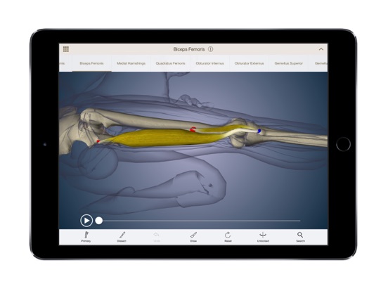 Anatomy U-Experiential Anatomy iPad screenshot 2 - Health & Fitness app