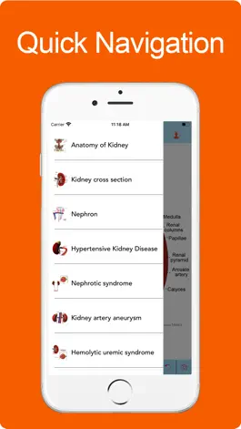 Game screenshot Silodal - Atlas of Nephrology hack