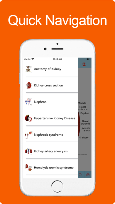 Screenshot #3 pour Silodal - Atlas of Nephrology