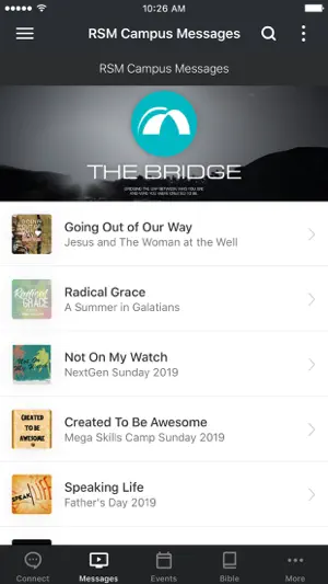 The Bridge RSM screenshot 2