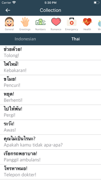 Screenshot #2 pour Indonesian-Thai Dictionary