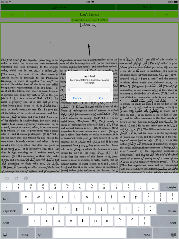 Screenshot #4 pour Lanes Lexicon