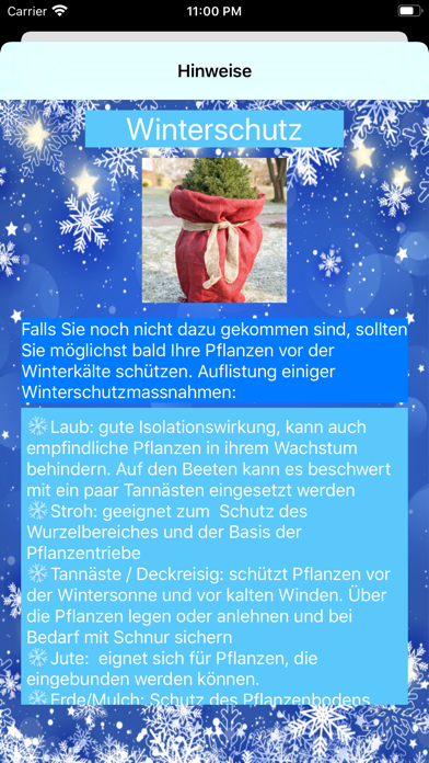 Garten Adventskalender screenshot 2