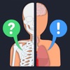 Icon Anato Trivia - Quiz Anatomía