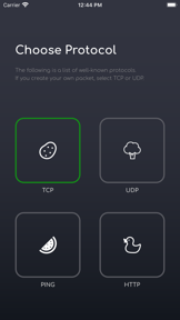 Packet Generator screenshot