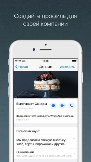 Скриншот WhatsApp Business на iPhone 1