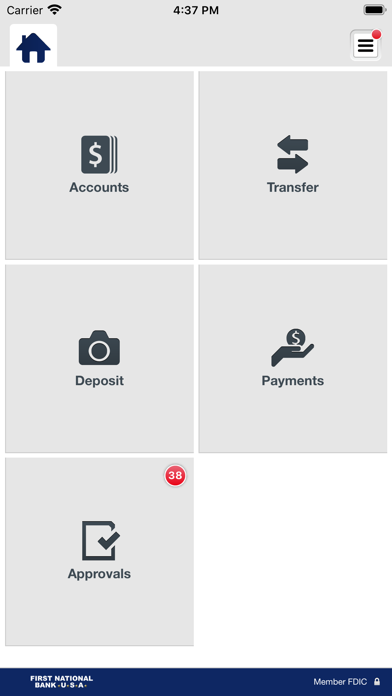 FNB USA Business Screenshot