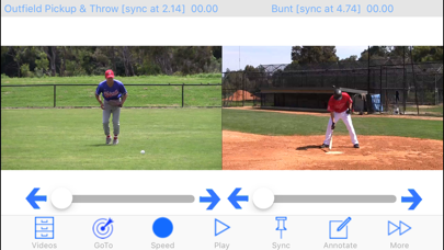 Baseball Coach Plus HD screenshot1