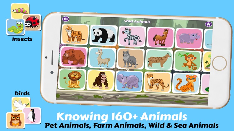 Pre K Preschool Learning Games