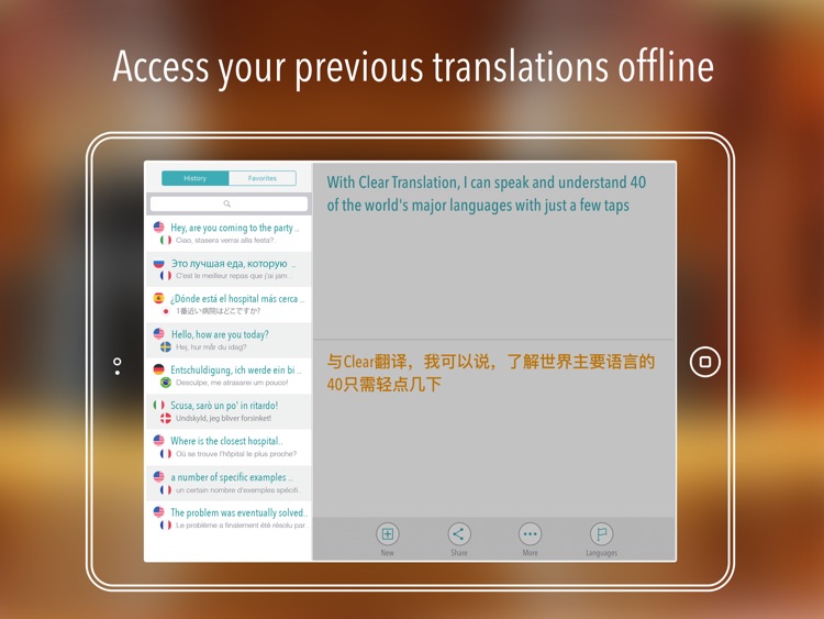 Clear Translation HD screenshot-4